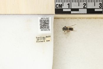 Media type: image;   Entomology 769179 Aspect: Labels